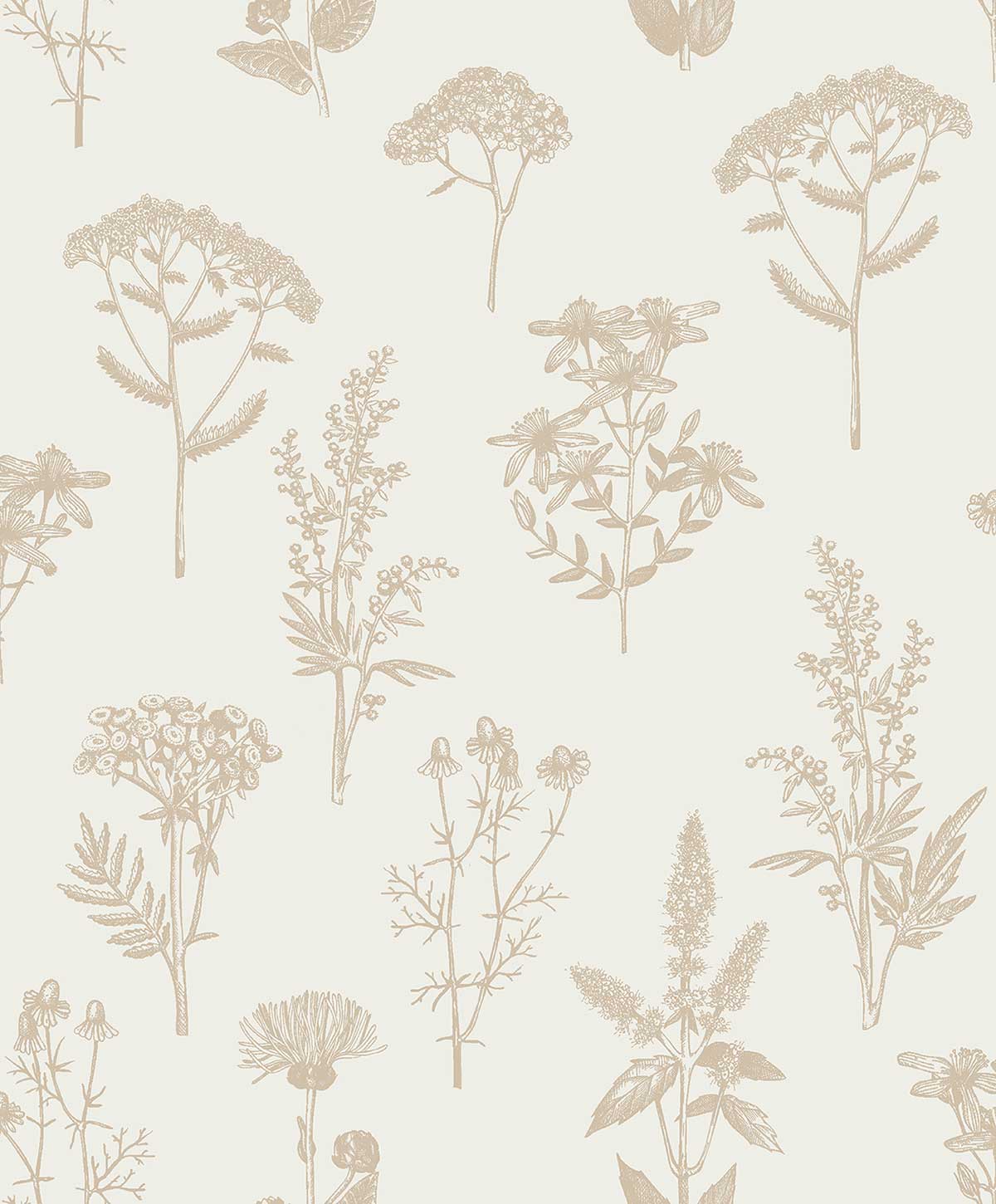 Papier peint herbier fleurs beige minimaliste, HEXOA