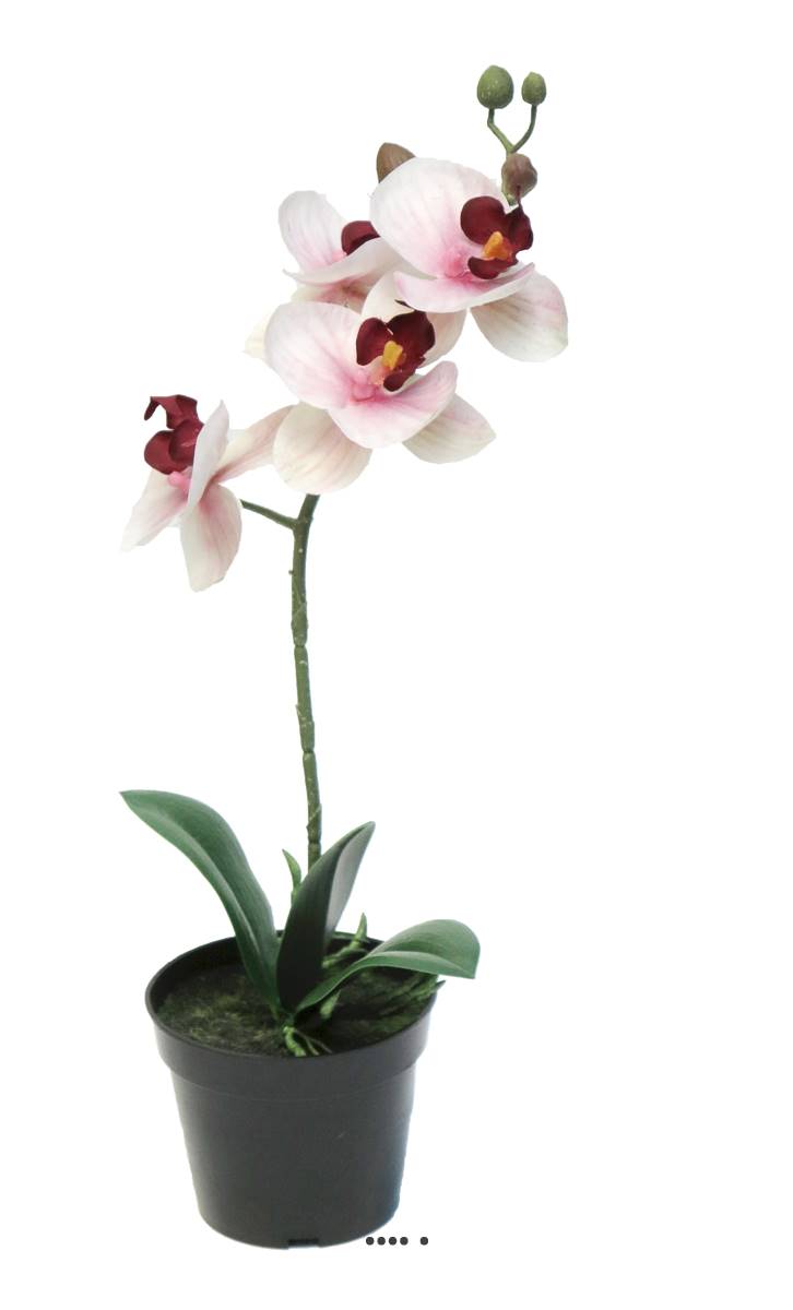 Orchidée Phalaenopsis factice en pot top q, ARTIFICIELLES