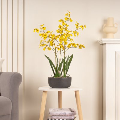 71cm Artificial Yellow Dancing Orchid in Ceramic Pot SO'HOME