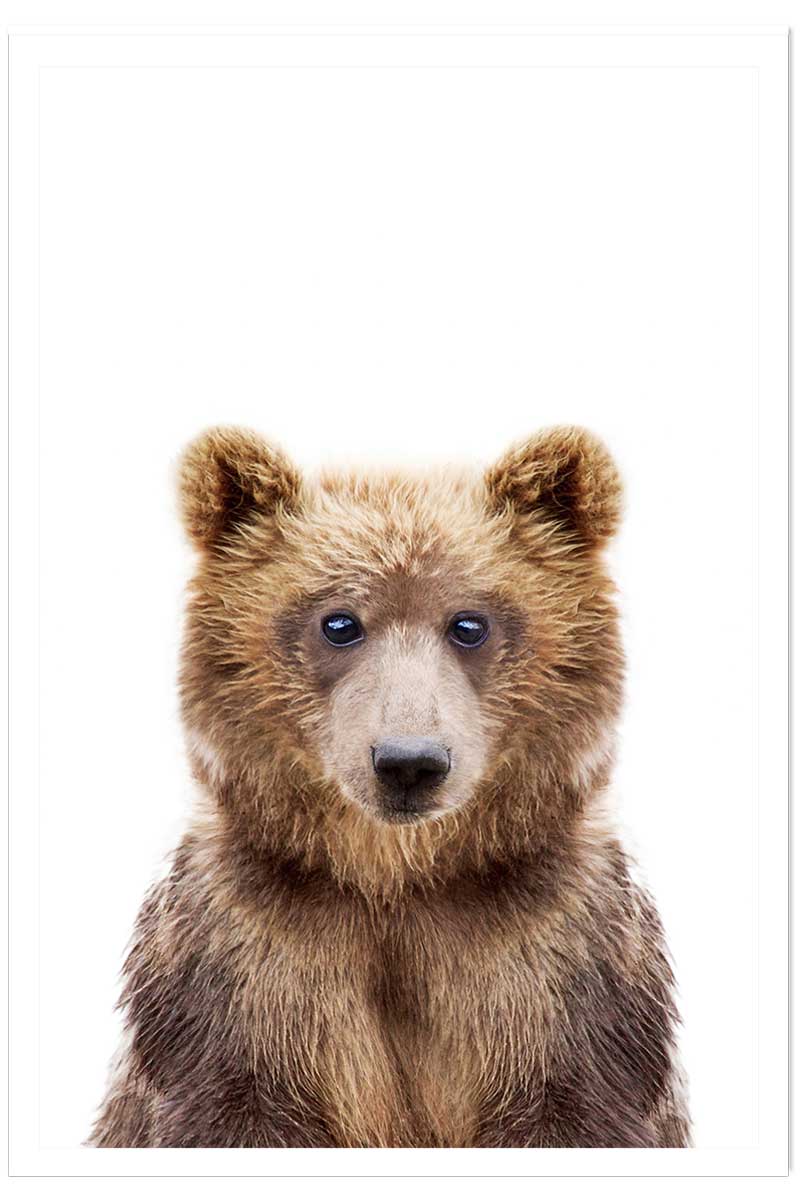 Affiche enfant bébé ours, HEXOA