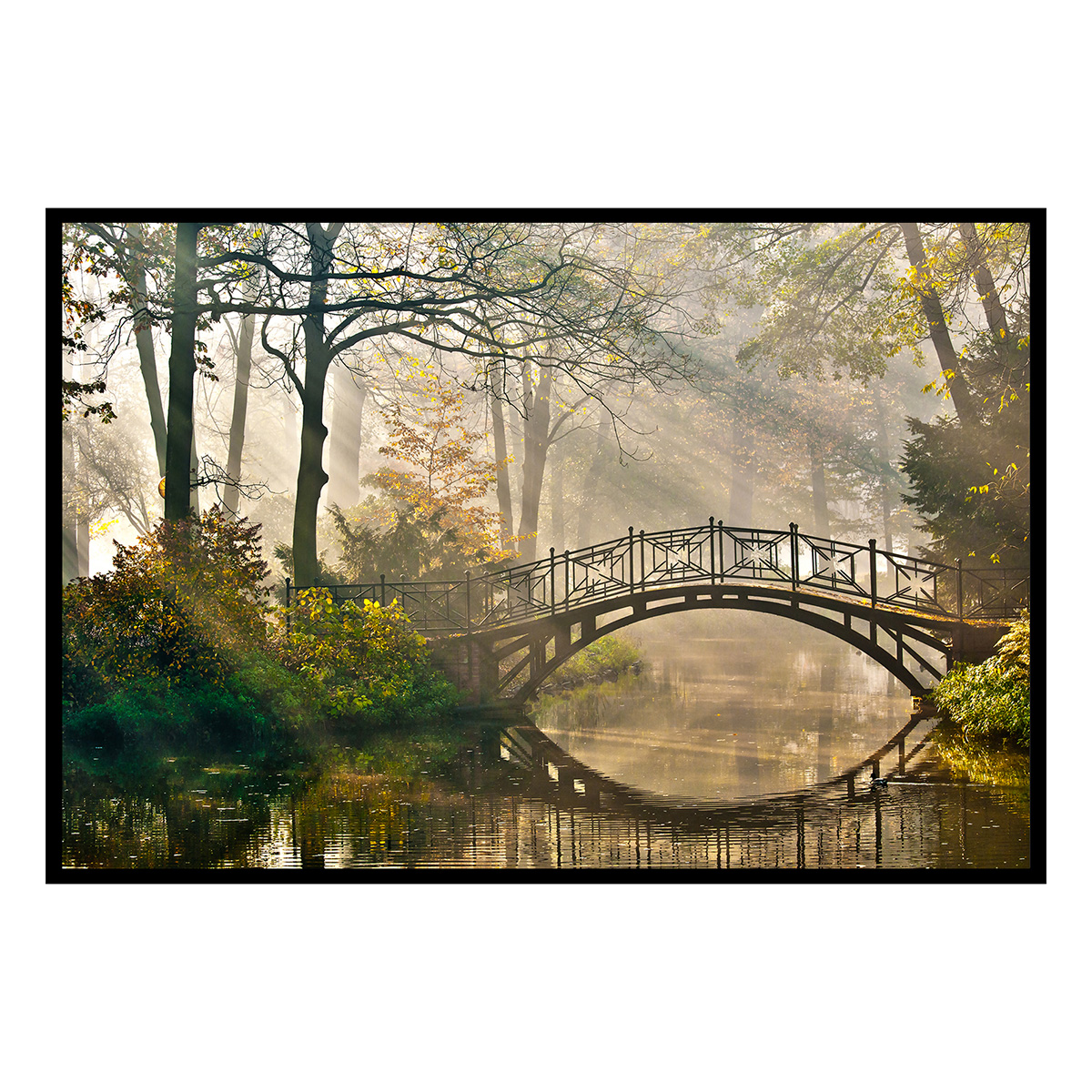 Affiche encadrée pont en forêt brumeuse, HEXOA