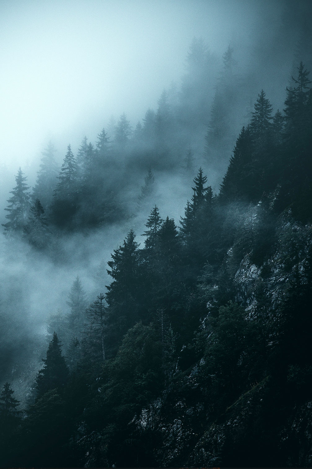 Tableau suisse au petit matin, HEXOA