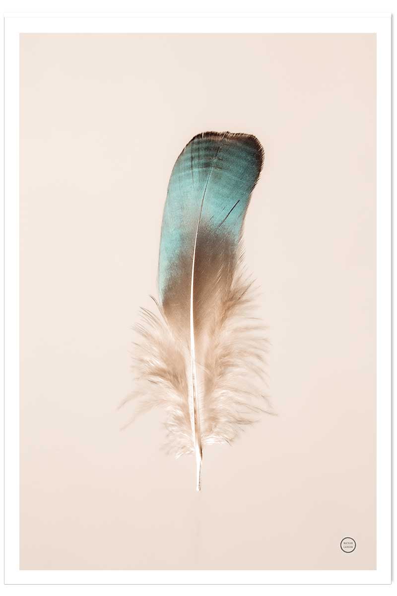 Affiche enfant plume bleue, HEXOA