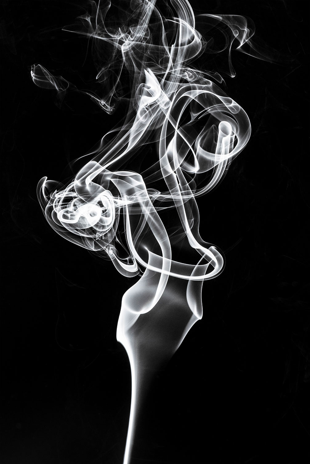 Tableau  white smoke tulip dream, HEXOA