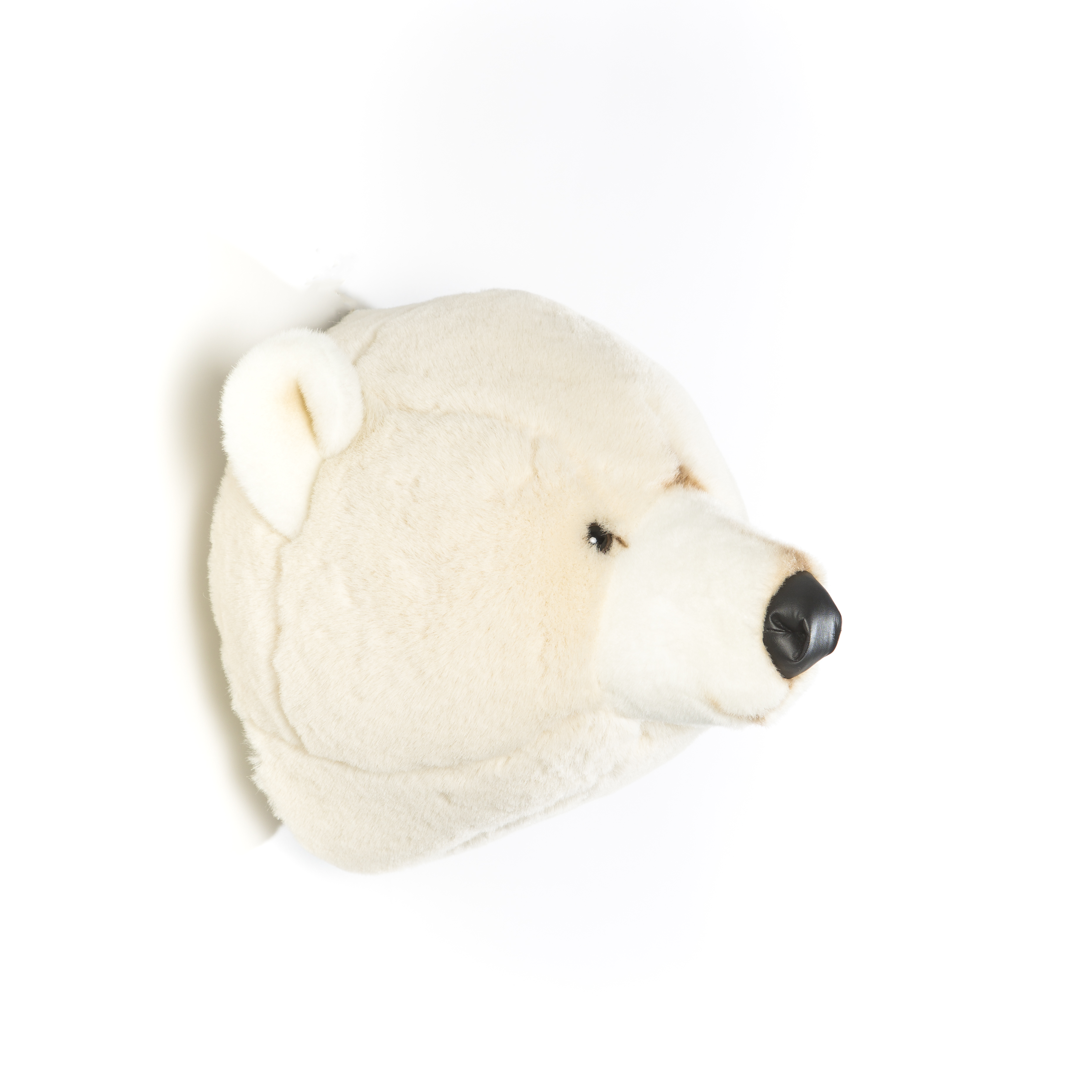 Trophée peluche Basile OURS POLAIRE, WILD AND SOFT