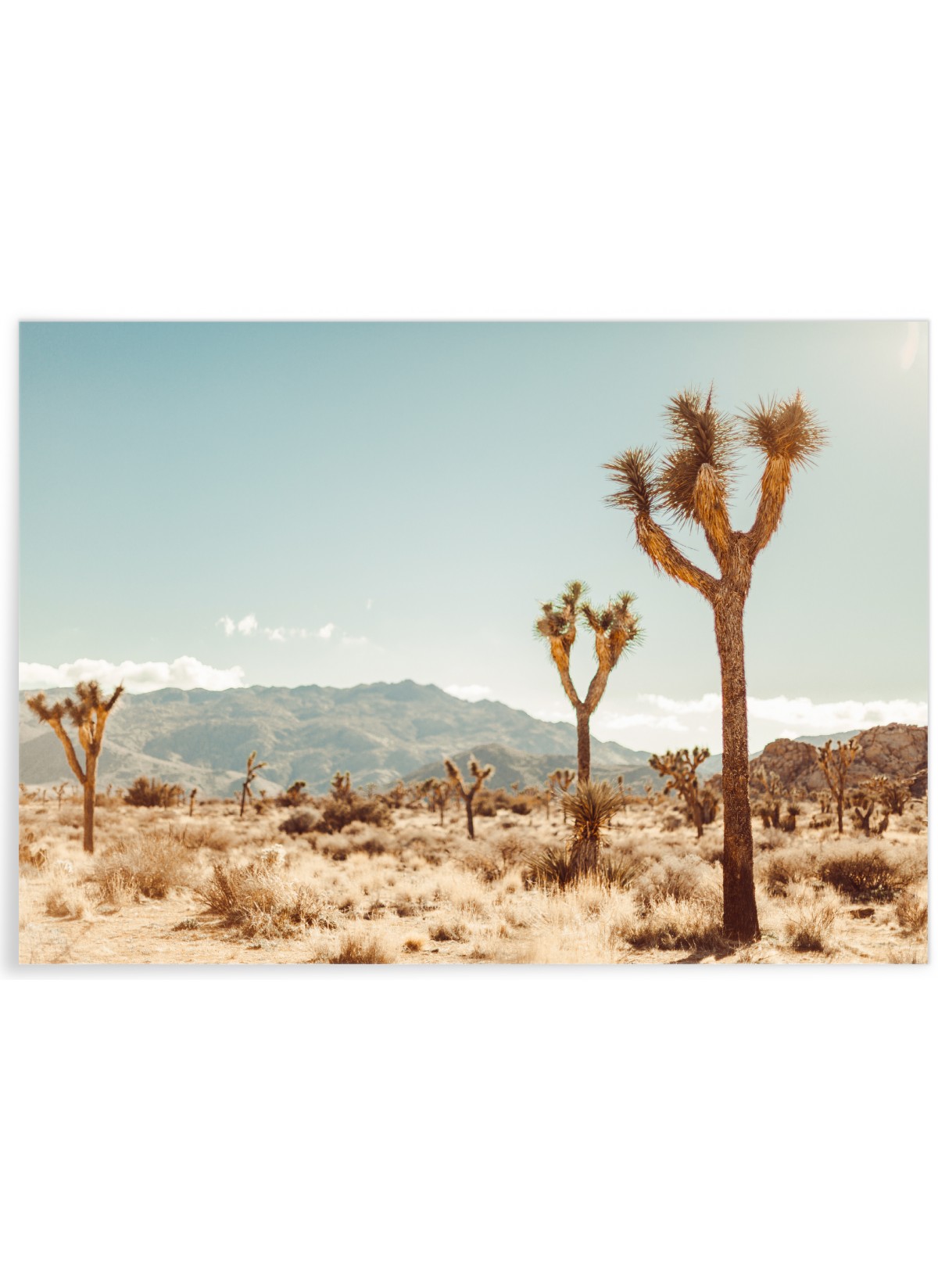 Poster Nature Desert 5, L'AFFICHERIE
