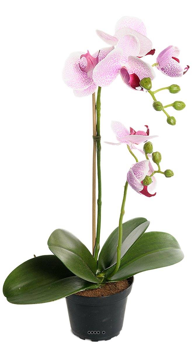 Orchidee artificielle 2 hampes en pot H 40 cm, ARTIFICIELLES