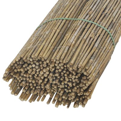 Canisse en petit bambou 1 x 5m JARDINDECO
