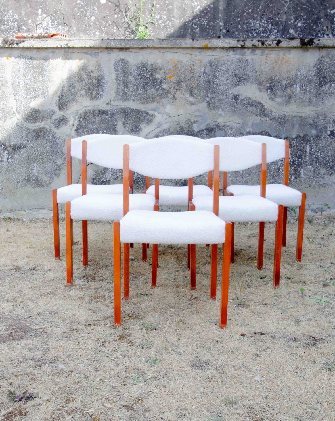Lot de 6 chaises en bois et tissu bouclette Alma N°1763 - Bon état, DEBONGOUT