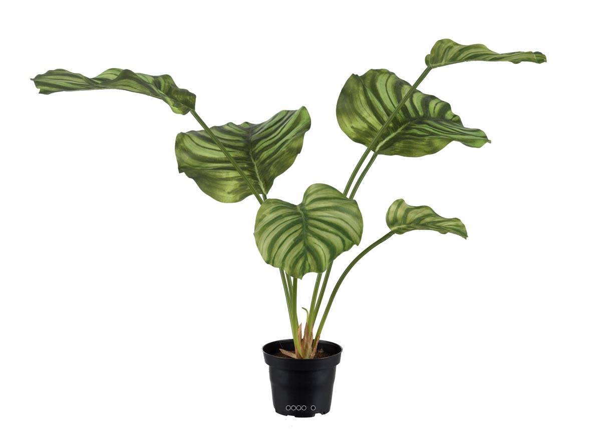 Calathea factice en pot, grandes feuilles, ARTIFICIELLES