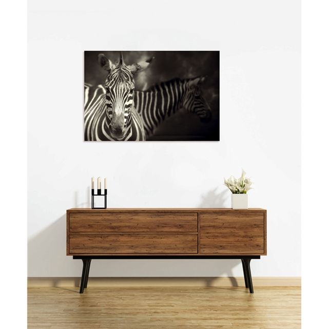 Tableau en verre acrylique zebra Couleur noir et blanc Rendez