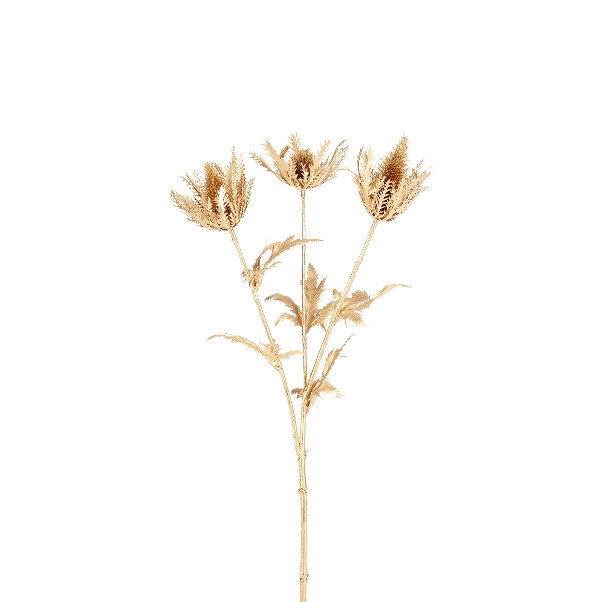 Branche de chardon artificielle H56, SIA DECO
