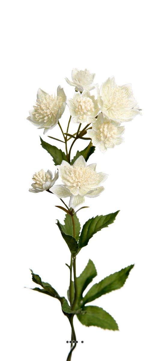 Astrance fleur factice H50cm 8 fleurs, ARTIFICIELLES