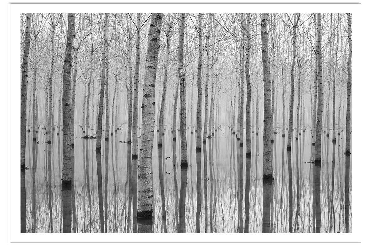 Affiche nature automnale pieds dans l'eau, HEXOA