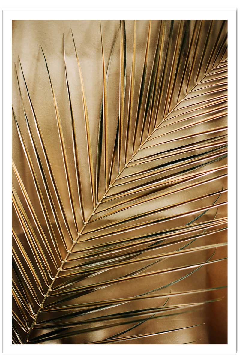 Affiche déco golden palm, HEXOA