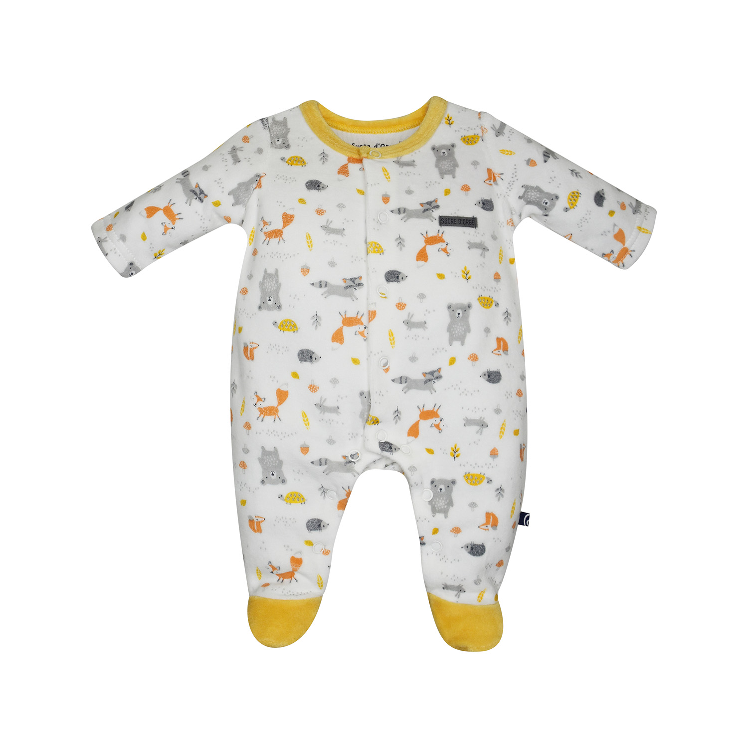 Pyjama bebe falco velours rase, SUCRE D'ORGE