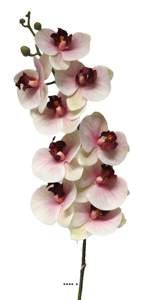 Tige orchidée phalaenopsis Factice 9fleurons, ARTIFICIELLES