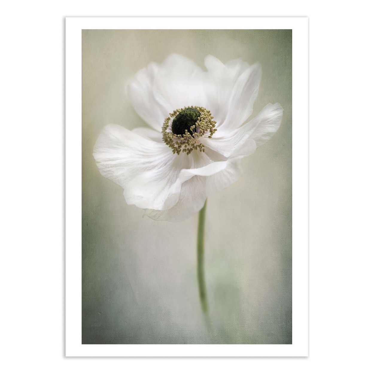 Affiche d'art - Single White - Jacky Parker, WALL EDITIONS