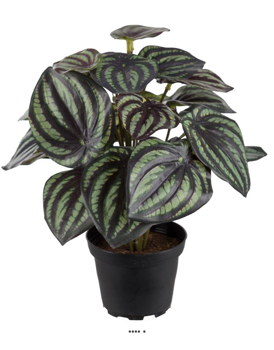 Peperomia fausse plante en pot lesté H25cmD, ARTIFICIELLES