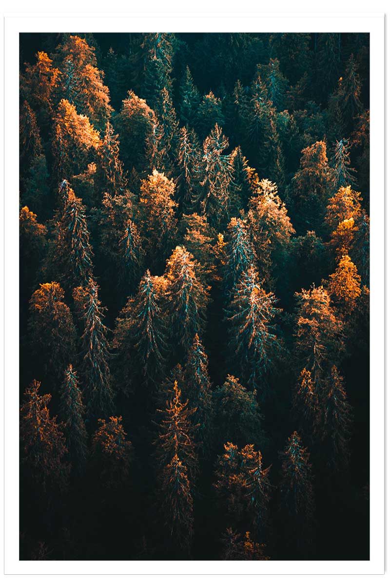 Affiche paysage couleur d'automne en haute savoie, HEXOA