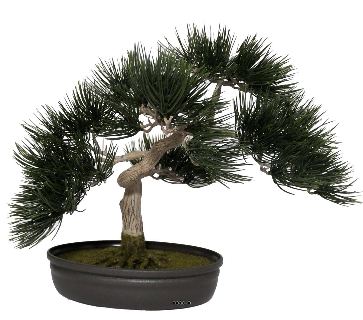 Bonsai artificiel Angel Pinus H 44 cm, ARTIFICIELLES