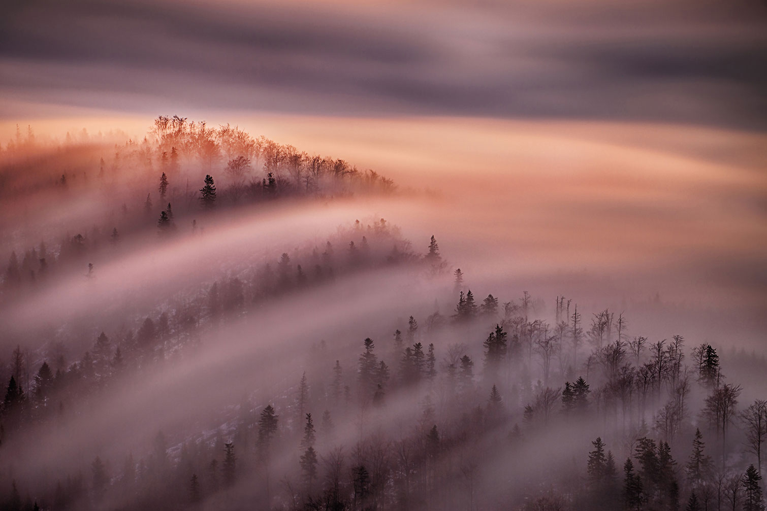 Tableau ciel violet, HEXOA