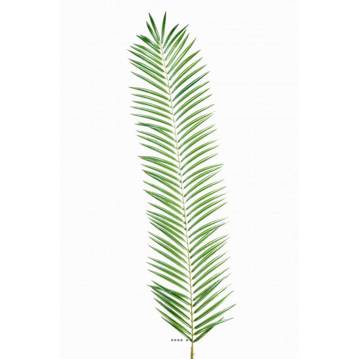 Feuille de palmier Cycas artificielle, ARTIFICIELLES