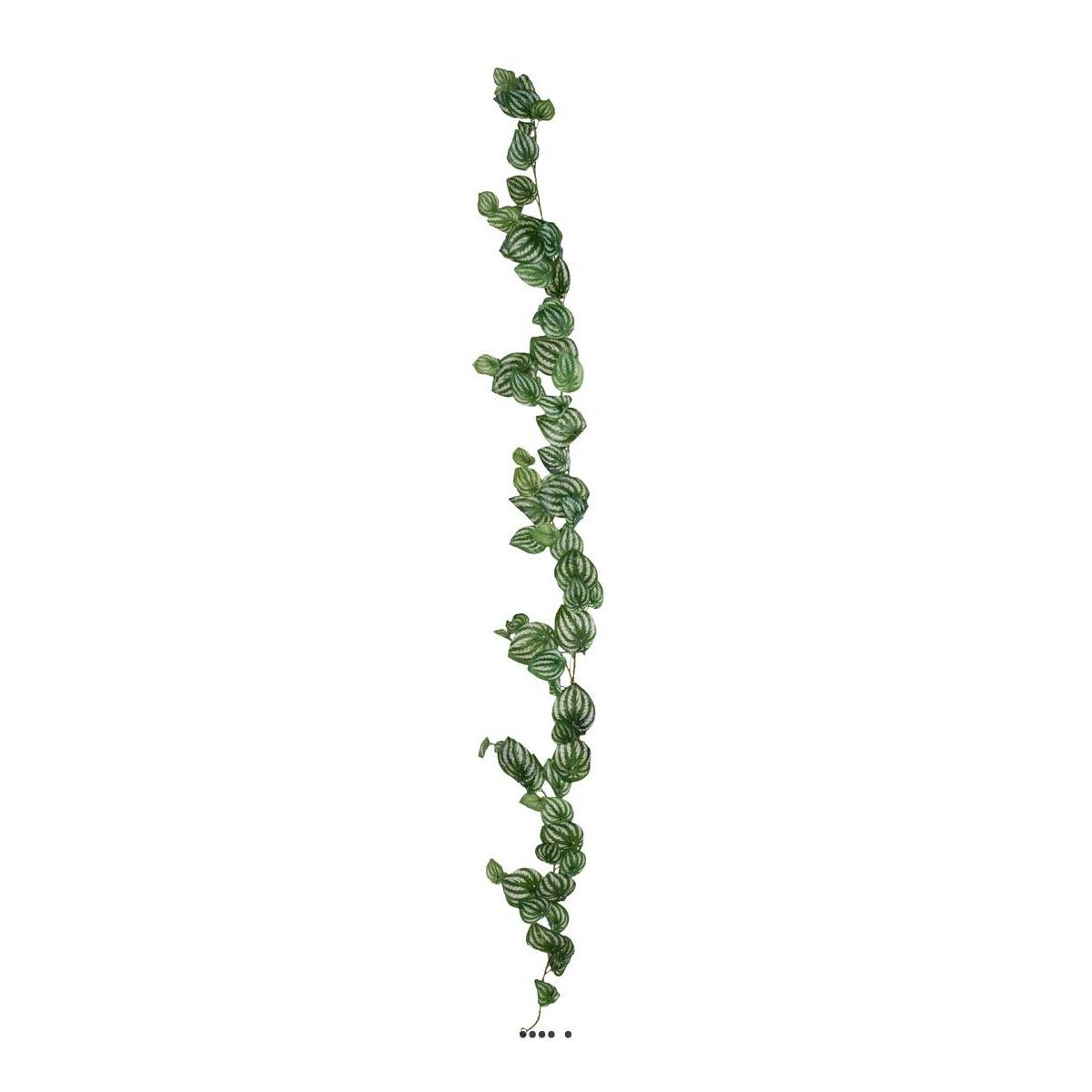 Guirlande factice ramifiée de feuilles de Peperomia H180cm magnifique, ARTIFICIELLES