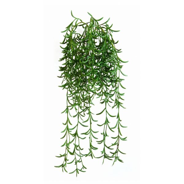 Succulente plante verte artificielle suspendu, ARTIFICIELLES