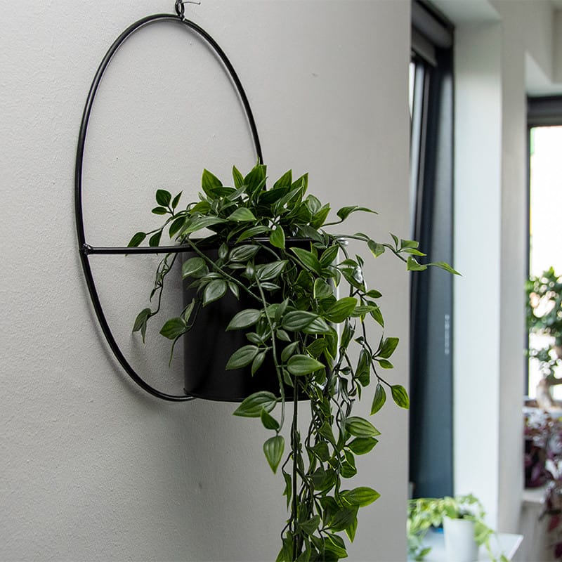 2Pcs Jardinières Murales Pots De Fleurs Muraux Métal Porte-Plante À
