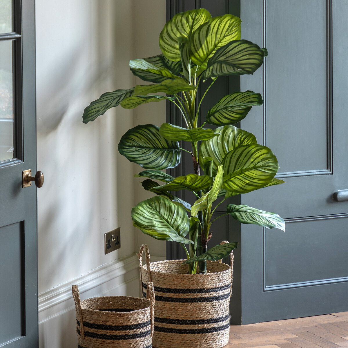 4ft Potted Calathea Leaf Tree, ÉDITÉ