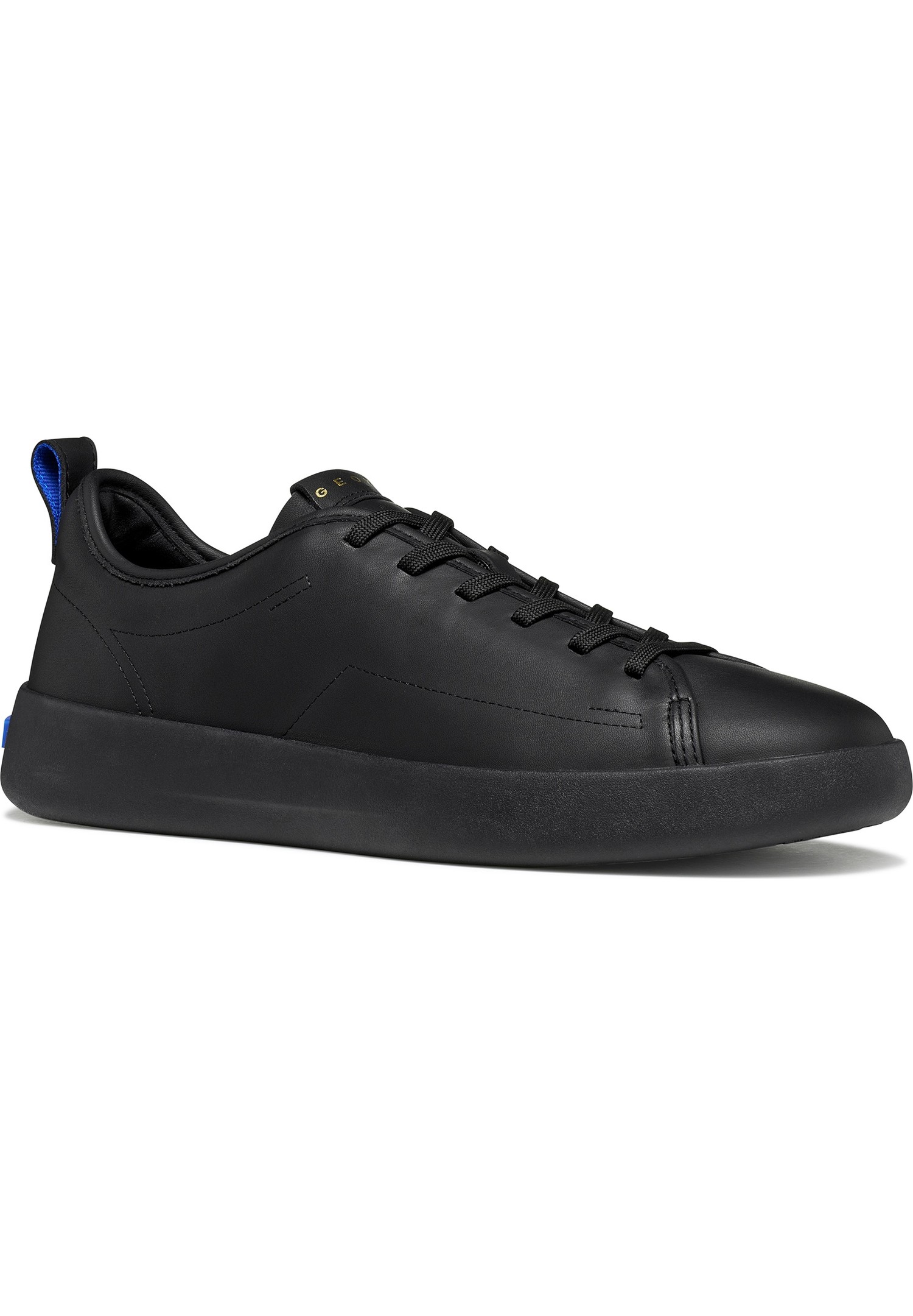 Baskets U GXCP-01, GEOX