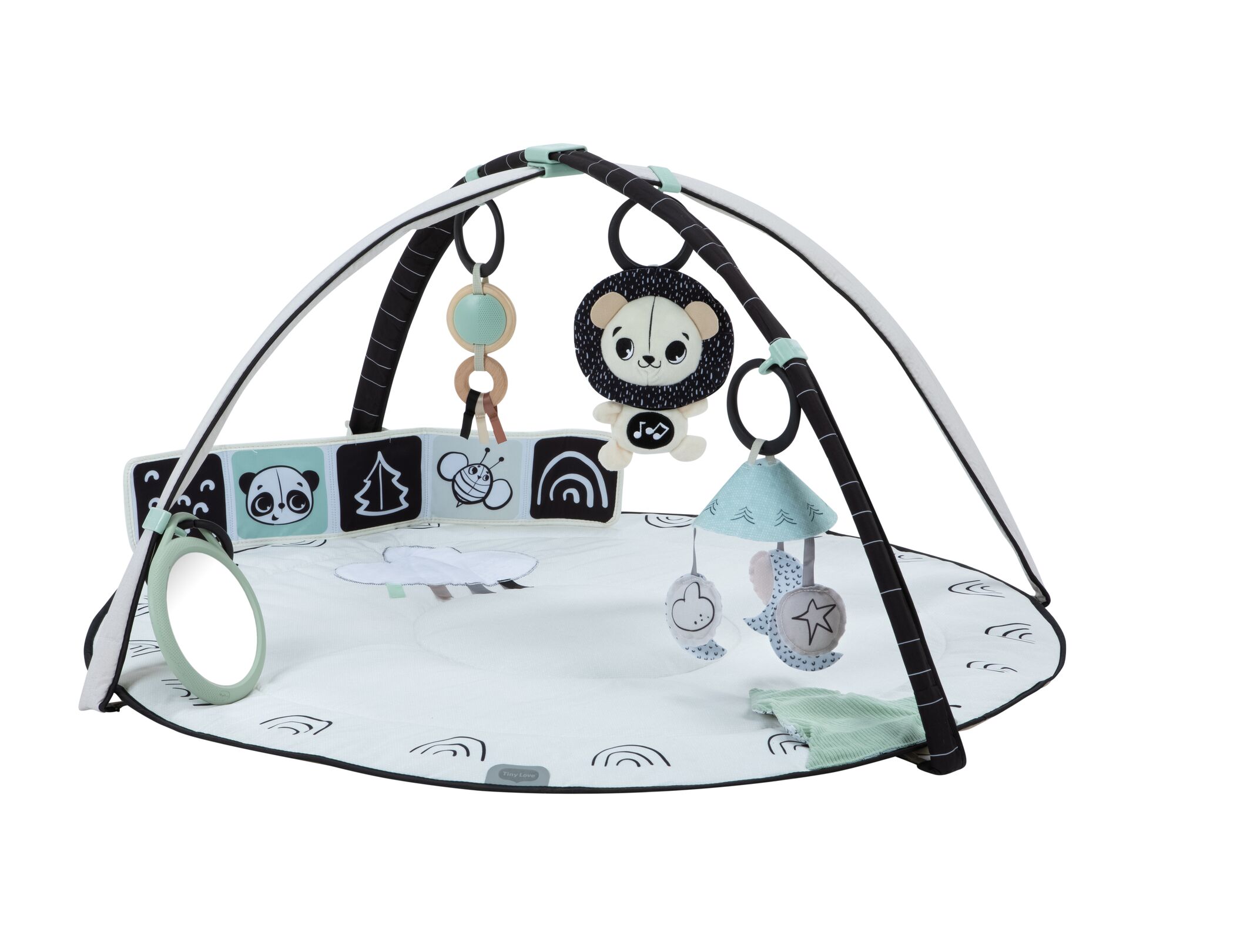 Tapis d’éveil musical avec arches et accessoires Gymini, TINY LOVE