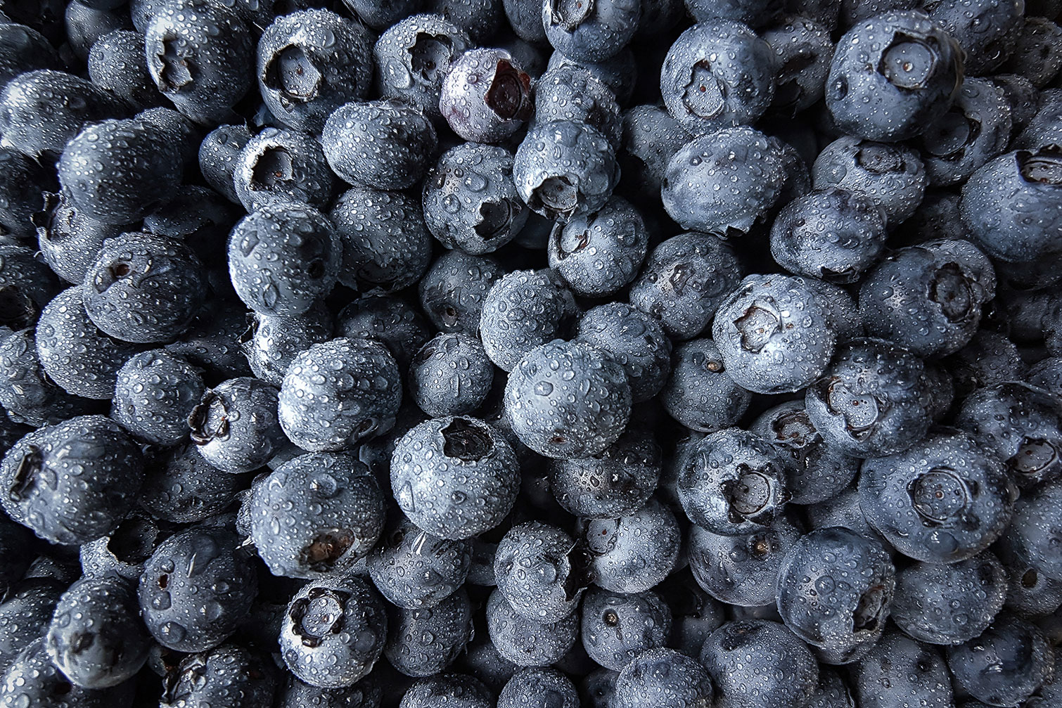 Tableau fruit cure de cassis, HEXOA