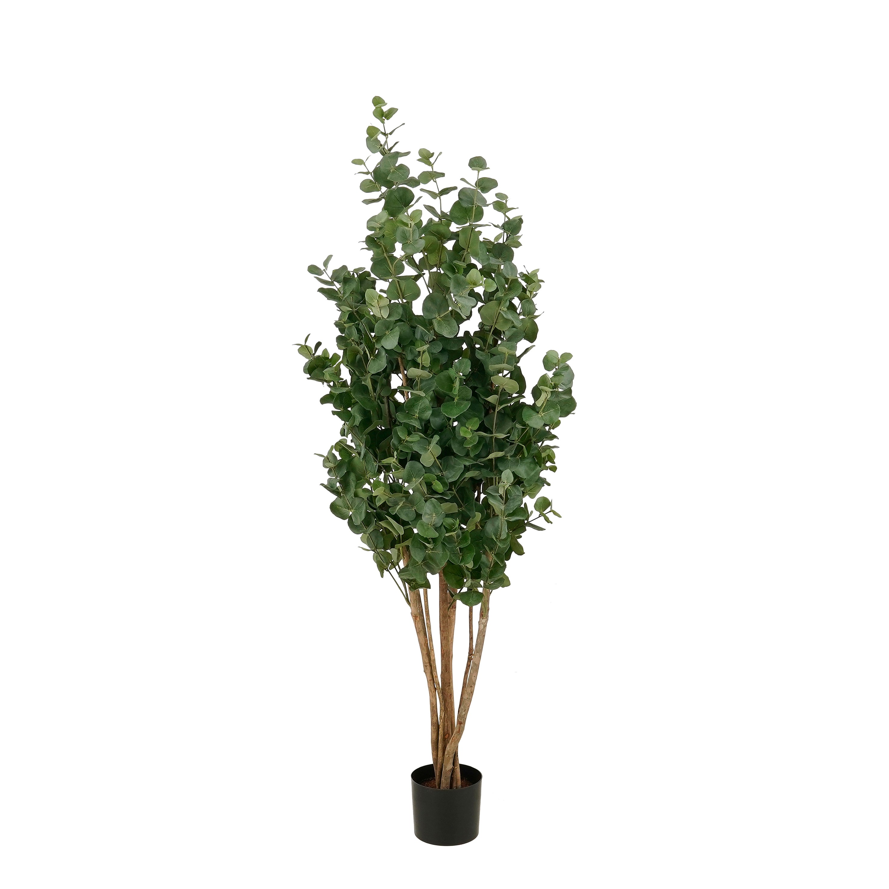 Plante artificielle EUCALYPTUSBOOM, MICA DECORATIONS