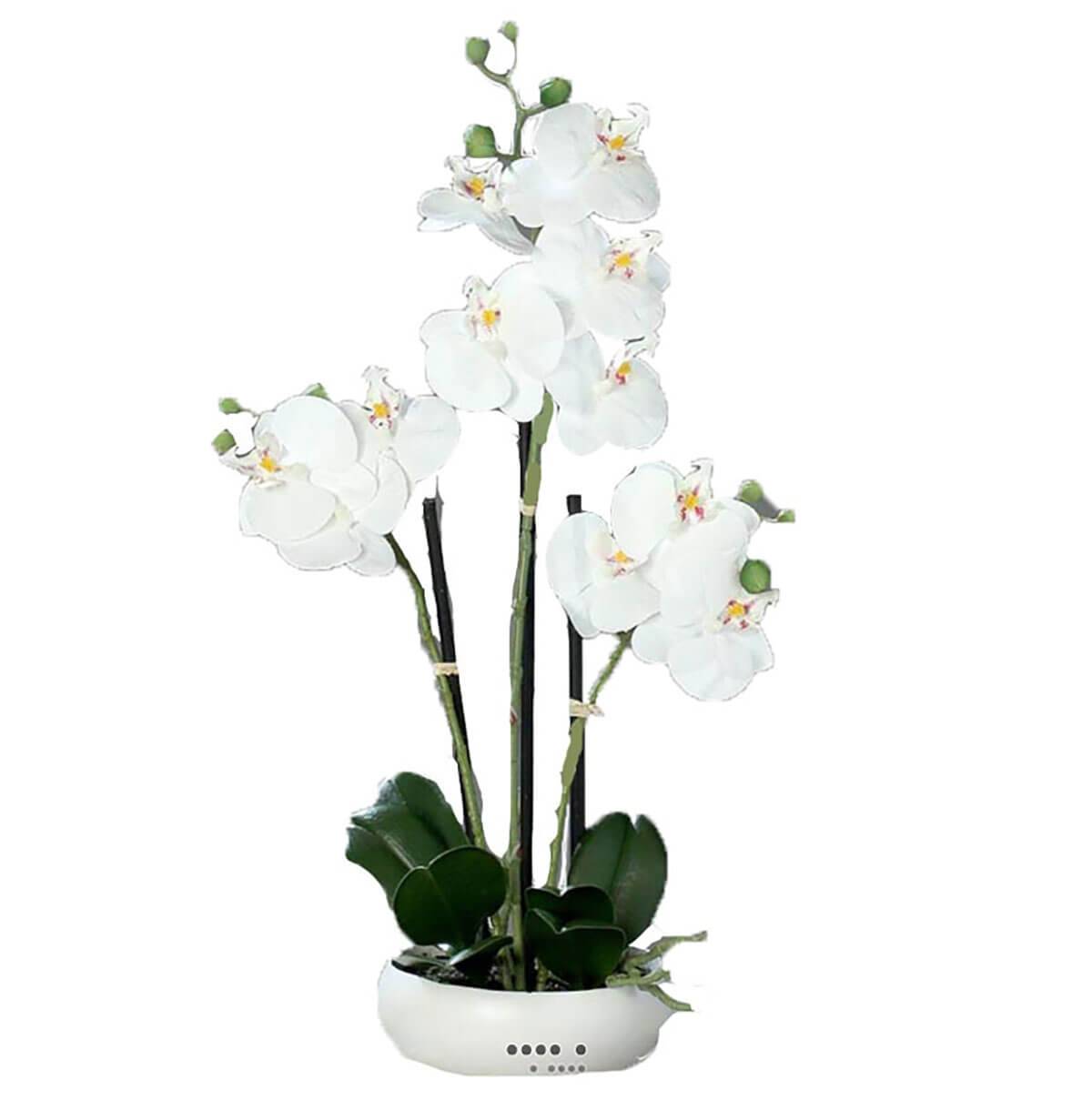 Orchidee factice 3 hampes en coupe ceramique, ARTIFICIELLES