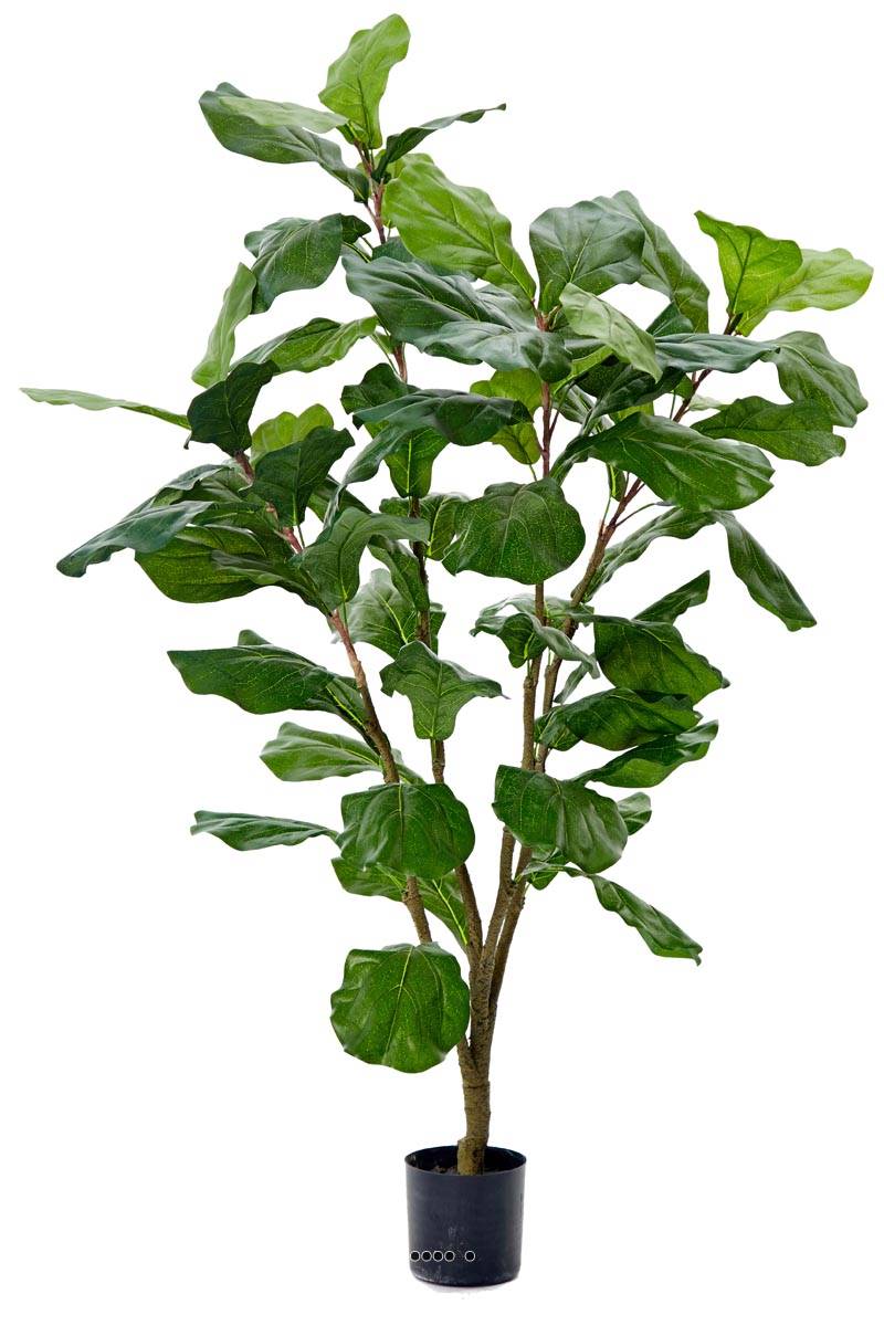 Ficus Lyrata tronc PE en pot Figuier art, ARTIFICIELLES