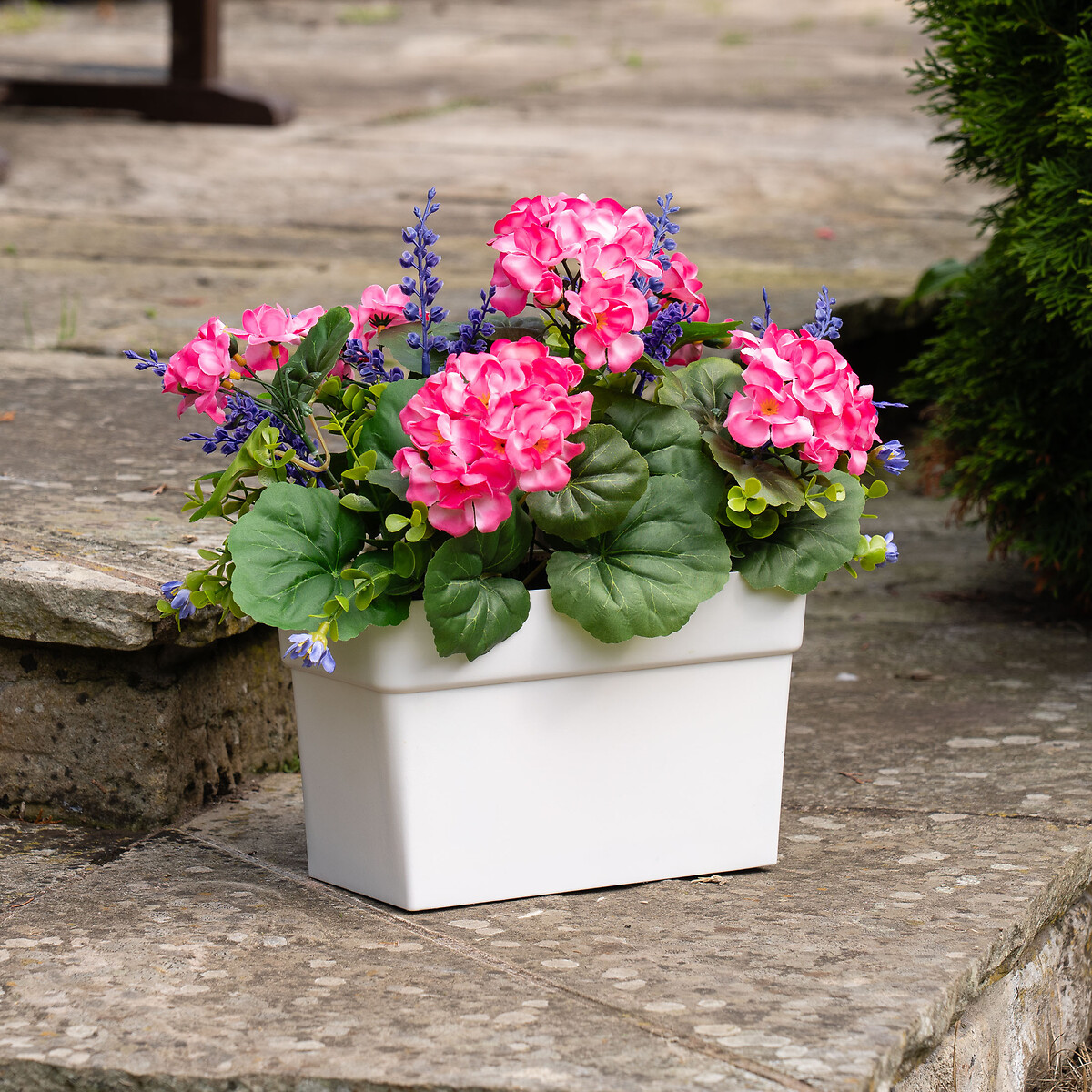 Pink Geranium in UV Trough Planter, SO'HOME