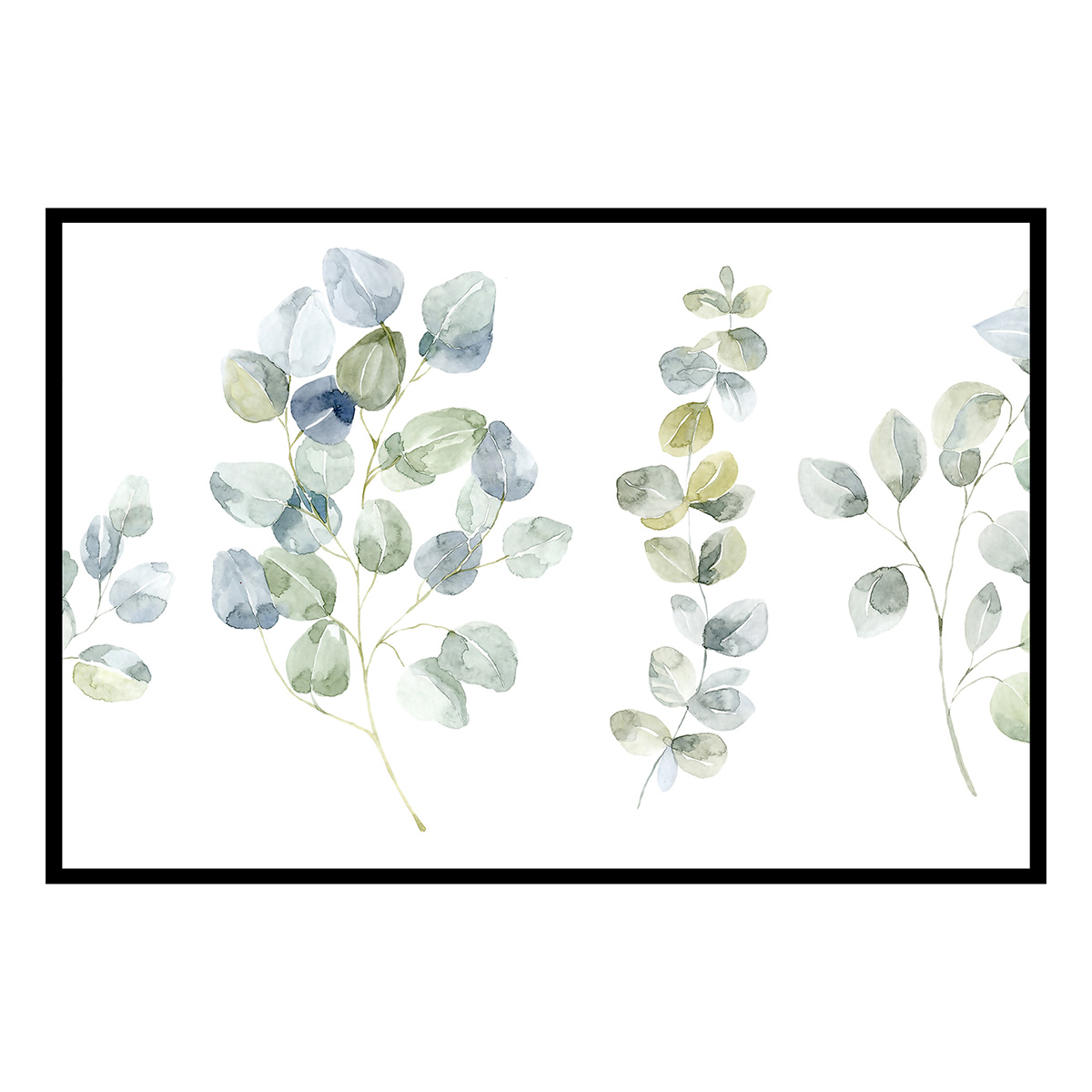 Affiche encadrée feuille eucalyptus illustration aquarelle, HEXOA