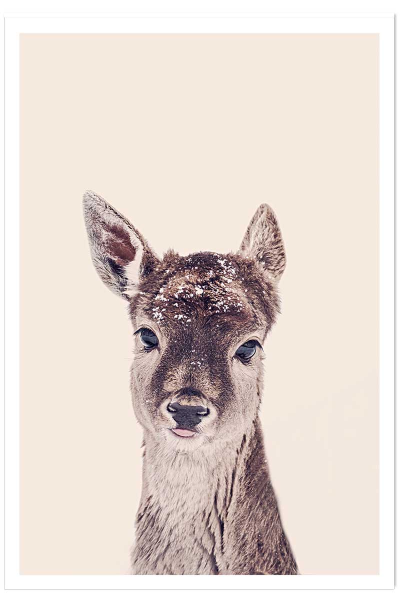 Affiche enfant biche enneigée, HEXOA
