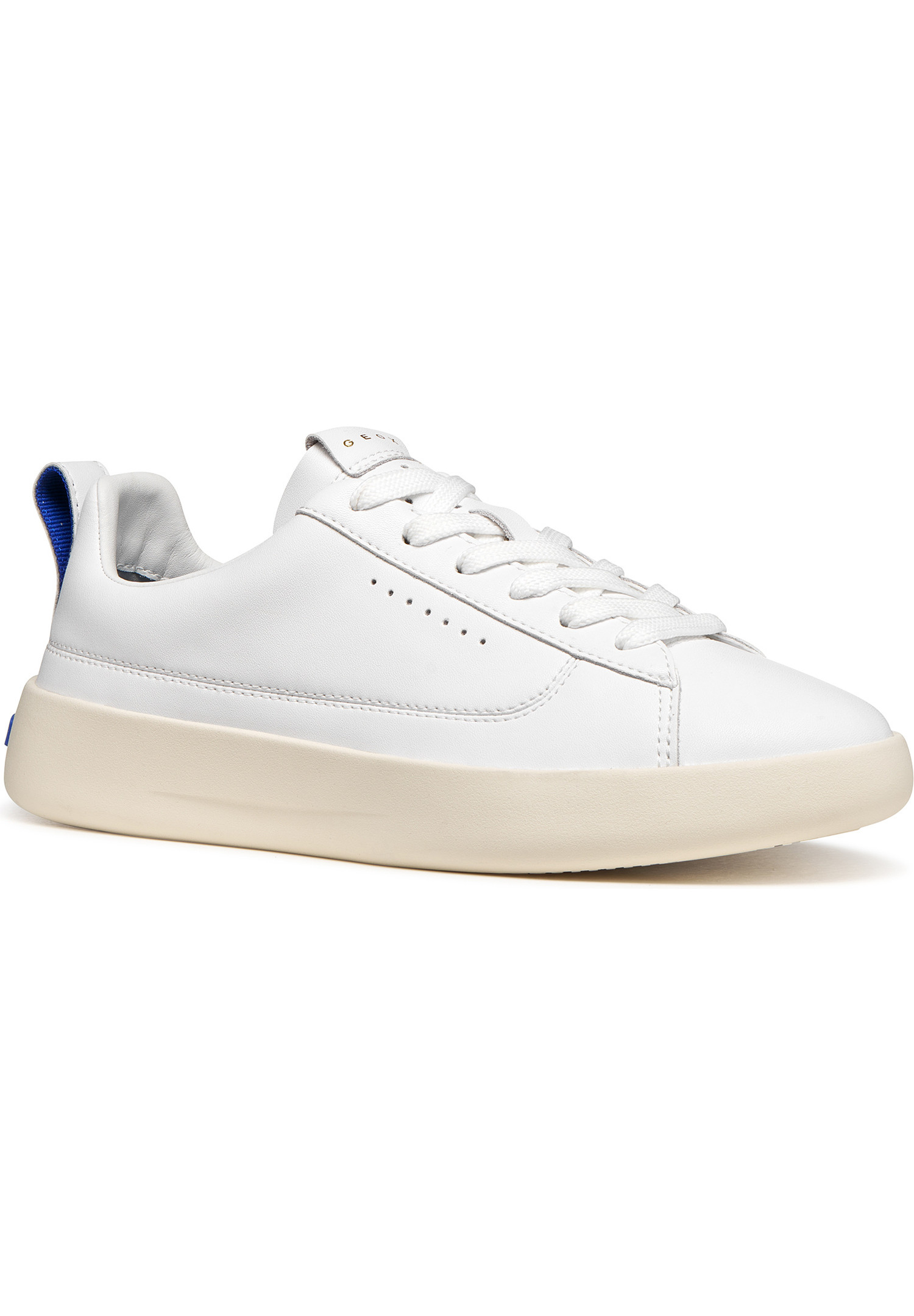 Baskets  D GXCP-01, GEOX