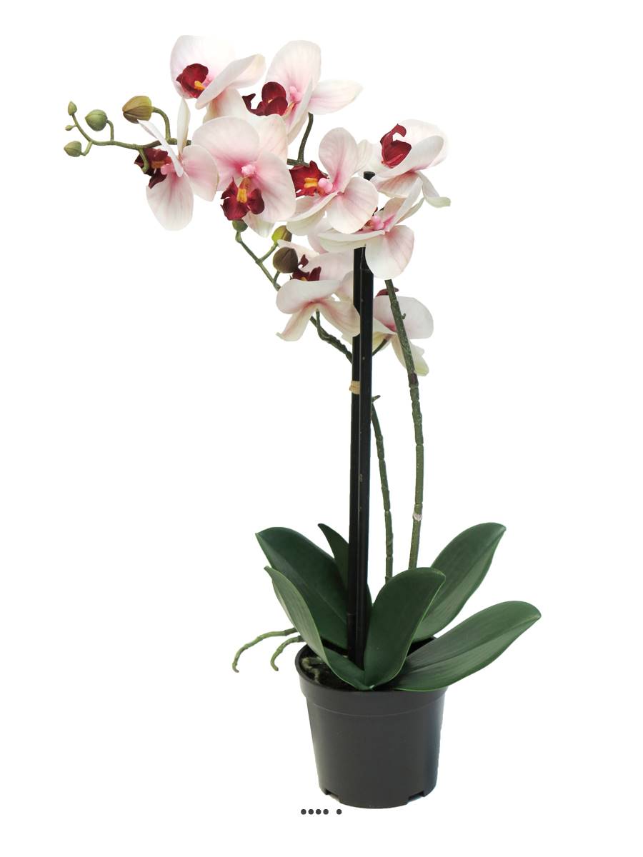 Orchidée Phalaenopsis factice en pot top q, ARTIFICIELLES