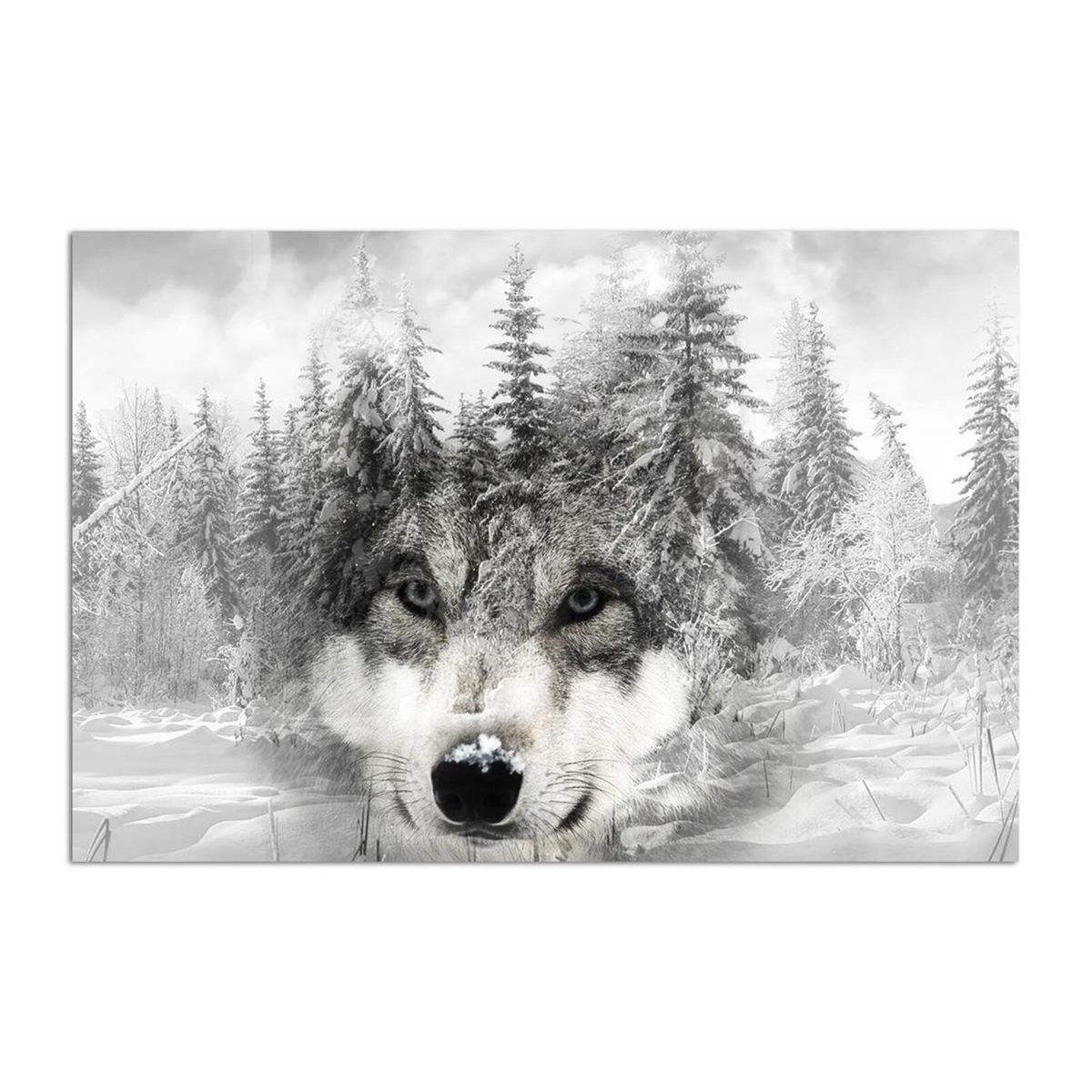 Tableau loup sur fond d hiver Couleur noir blanc Recollection