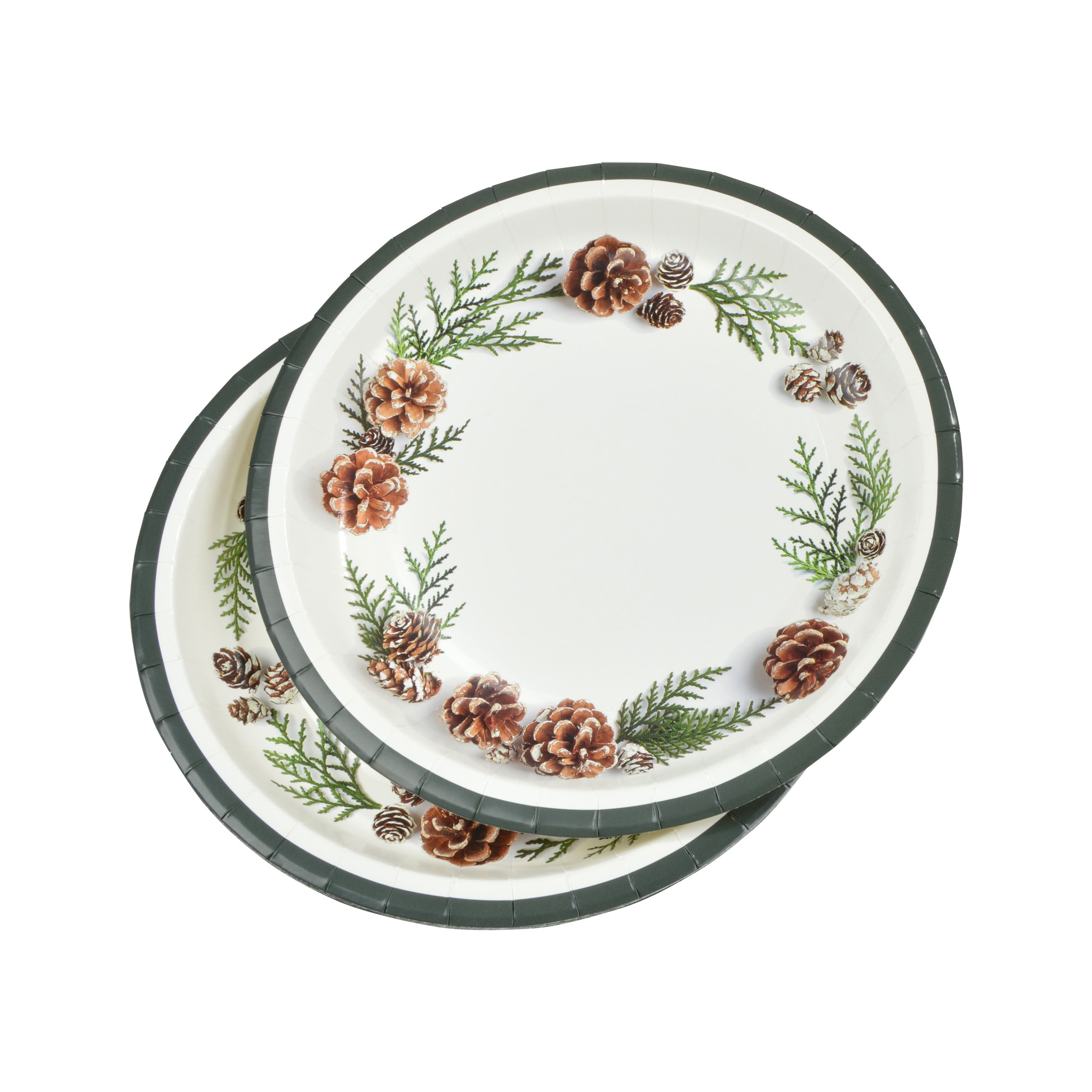 6 assiettes en carton Pommes de pin, EDEN