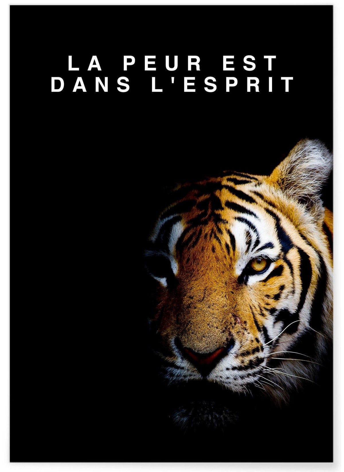 Affiche Motivation La Peur est dans l'Esprit, L'AFFICHERIE