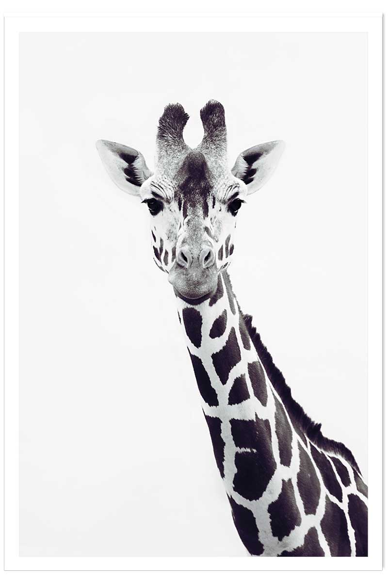 Affiche enfant girafe noire, HEXOA