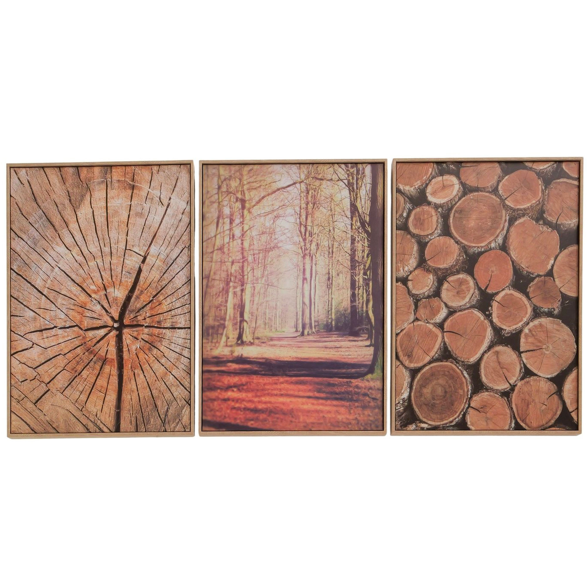 Set de 3 tableaux décoratifs arbres 50x70x4cm, WADIGA