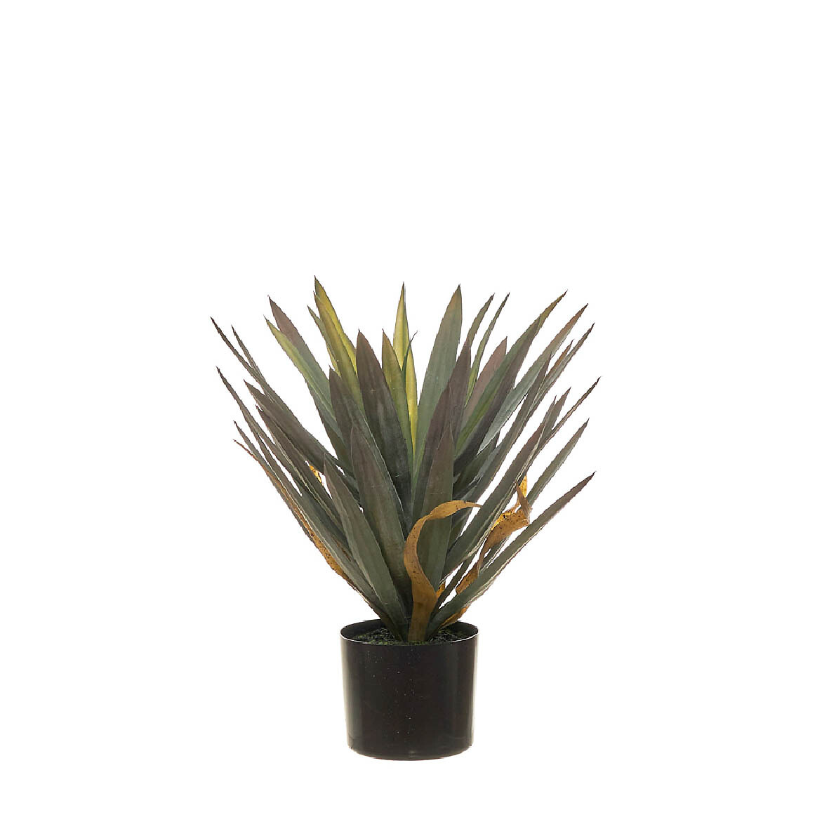 Planta artificial "Yucca" 48cm, BORGHESI, BORGHESI