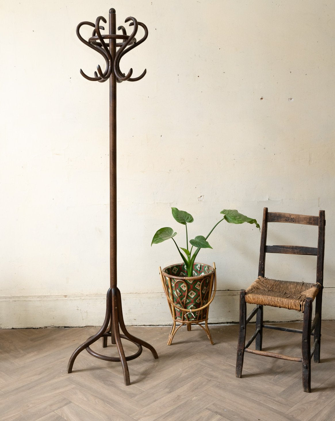 Porte-manteau perroquet en bois foncé Max N°465 - Bon état, DEBONGOUT