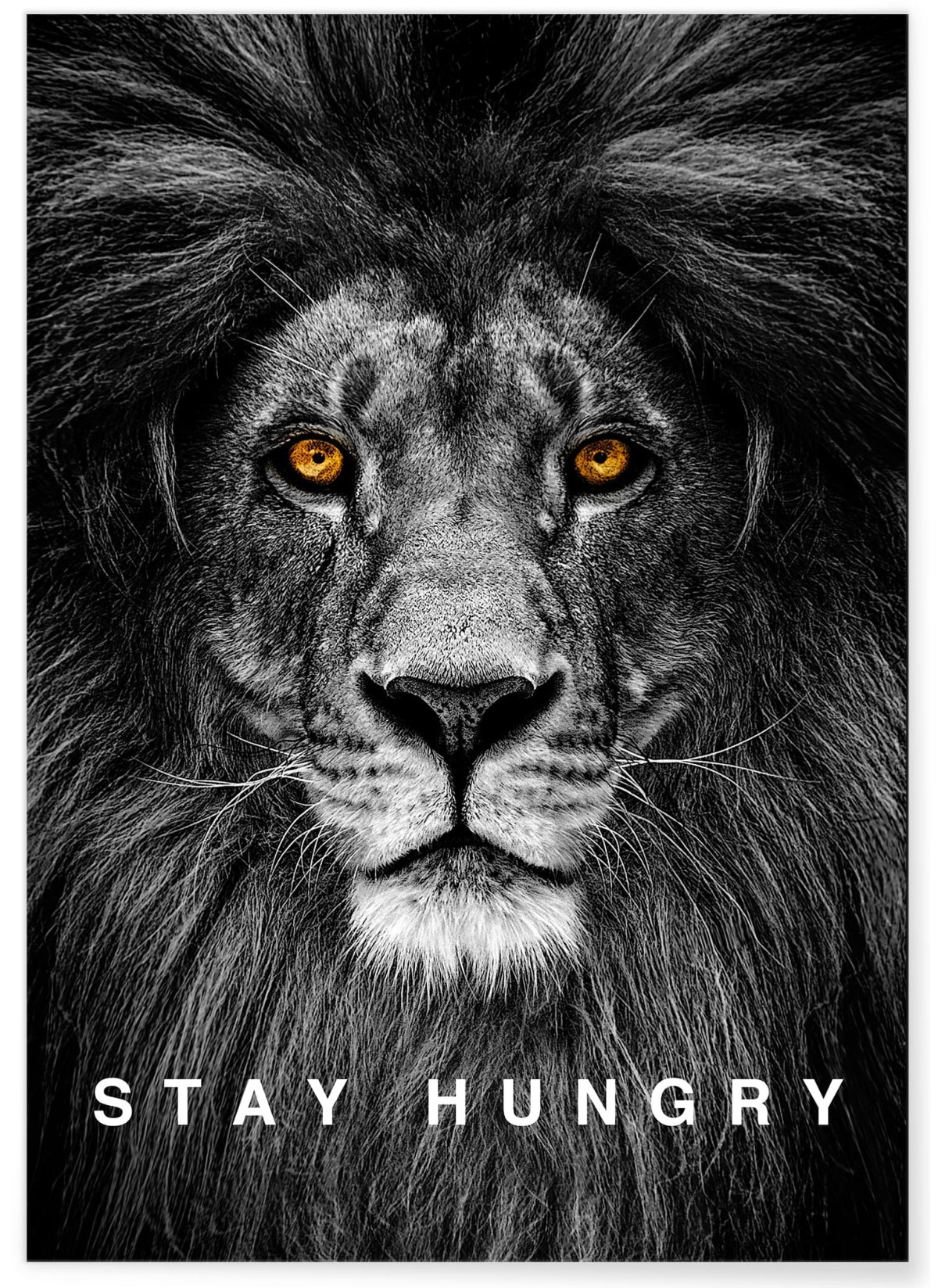 Affiche Motivation Stay Hungry, L'AFFICHERIE